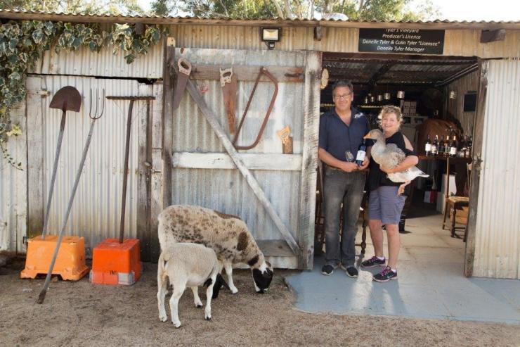 The Tylers, Colin and Donelle, Tyler’s Vineyard, Swan Valley WA