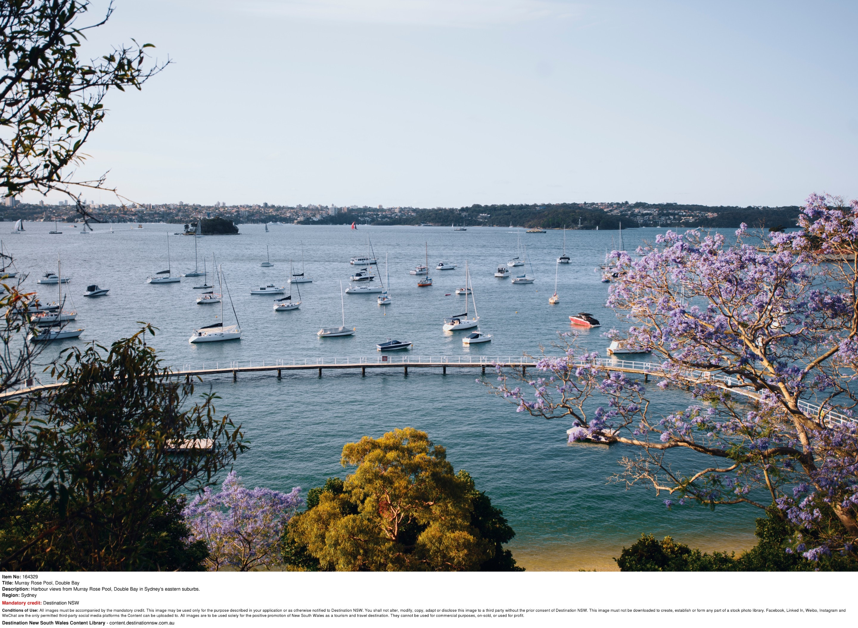 Harbour views from Murray Rose Pool in Double Bay © Destination NSW