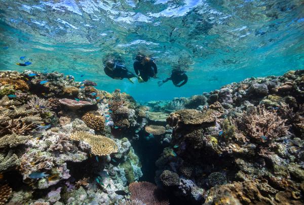 Sinker Reef, Whitsundays, Great Barrier Reef, Queensland © Tourism and Events Queensland