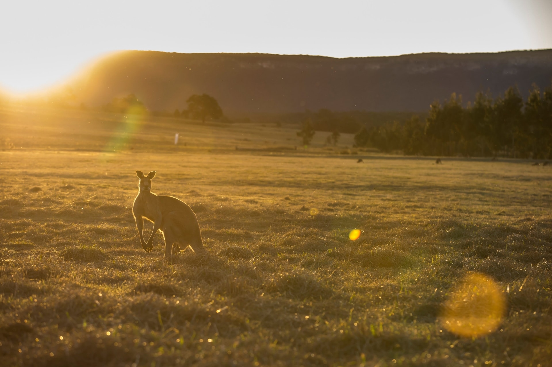Emirates One&Only Wolgan Valley, Wolgan Valley, New South Wales © Destination NSW