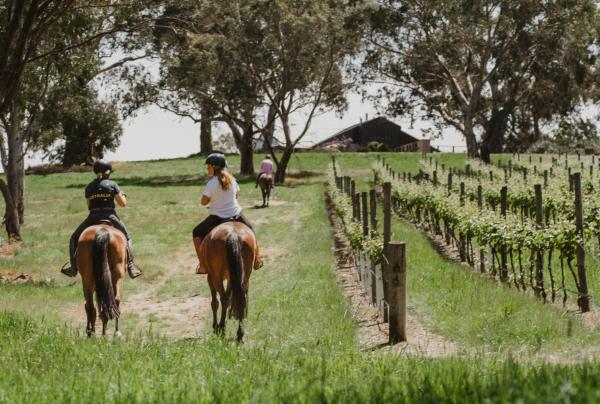 Three people riding horses through a lush green vineyard at Petaluma, Adelaide Hills, South Australia © Ultimate Winery Experiences Australia