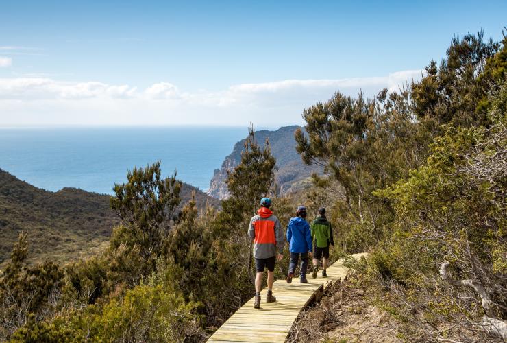 Hikers walking along the Three Capes Track © Tasmania Parks and Wildlife Service