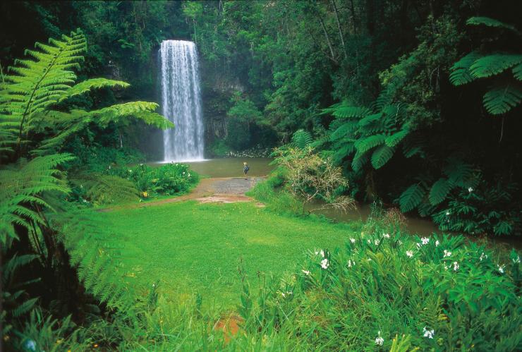 Woman admiring Millaa Millaa Falls in Millaa Millaa © Tourism and Events Queensland