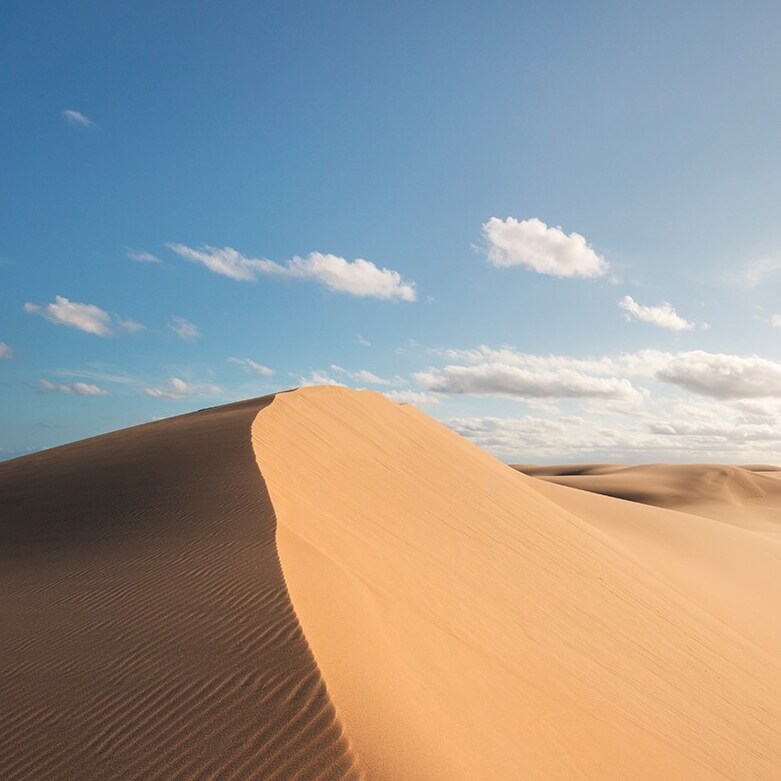 Sand dunes at the Stockton Sand Dunes near Port Stephens © Destination NSW