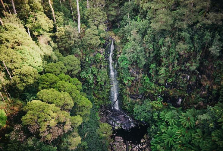 Aerial view over Erskine Falls waterfall near Lorne © Visit Victoria