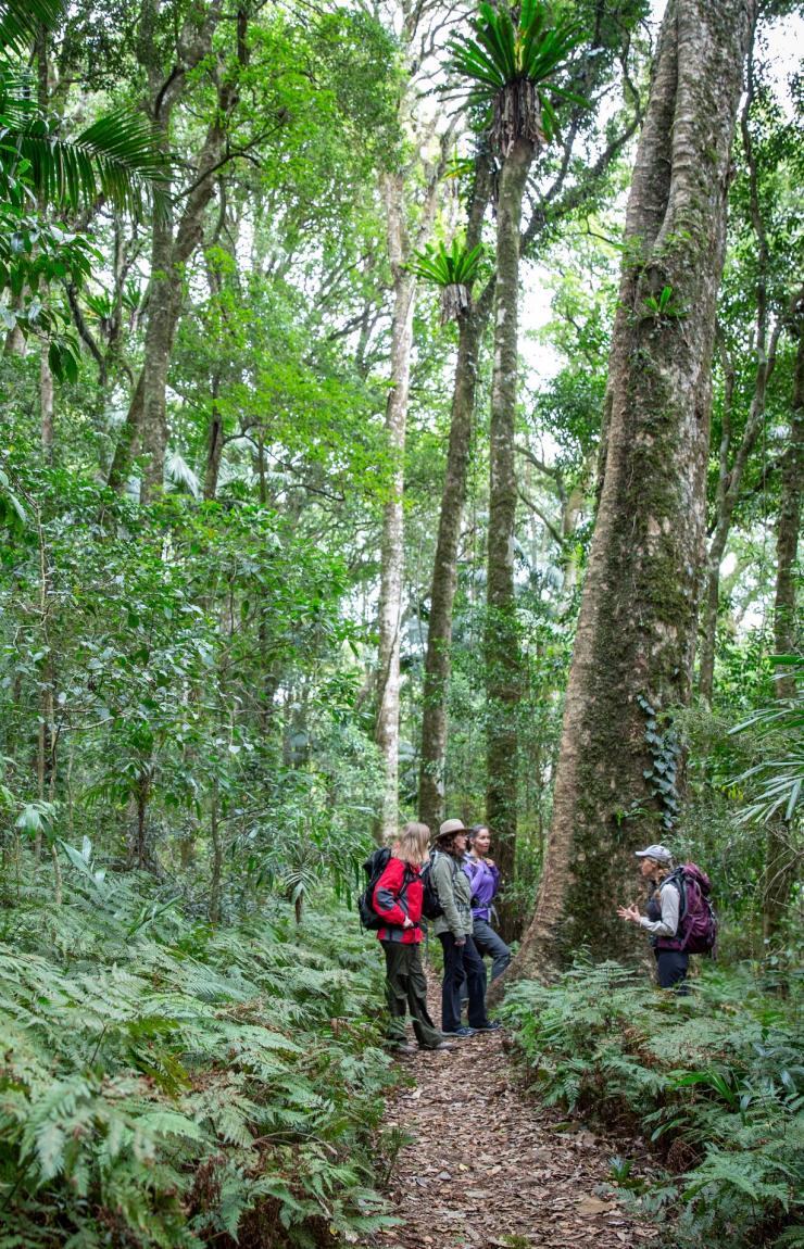 Spicers Scenic Rim Trail, Scenic Rim, Queensland © Spicers Retreats