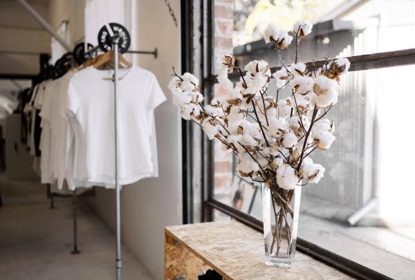 Sustainable T-shirts on display at Citizen Wolf in Sydney © Jason de Plater