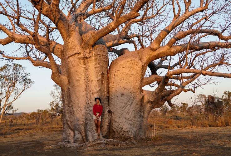 Woman standing under Boab Tree in Derby © Tourism Australia