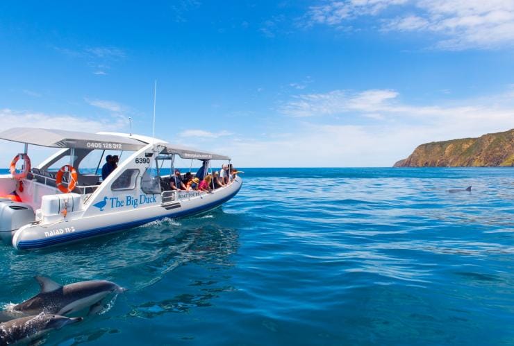 The Big Duck Boat Tour, Victor Harbour, Fleurieu Peninsula South Australia © South Australian Tourism Commission