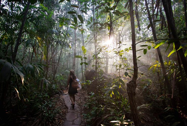 Woman walking through rainforest ©Tourism Australia