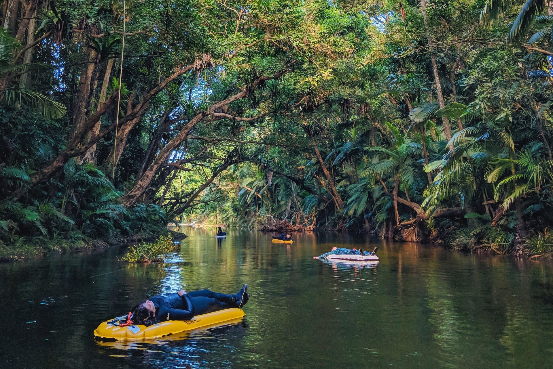 Back Country Bliss Adventures, Daintree Rainforest, Queensland © Back Country Bliss Adventures