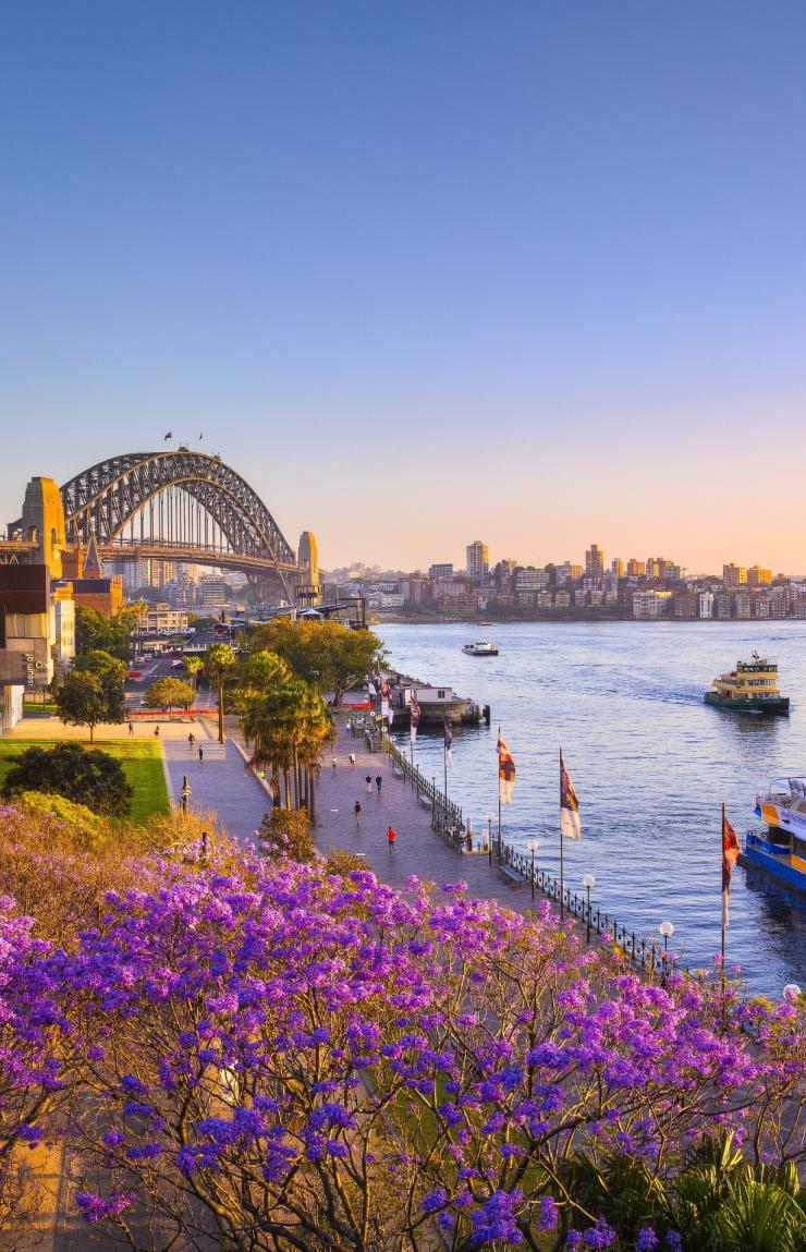A city harbour during sunset with boats, a tall arched bridge and jacarandas in the foreground, Sydney Harbour, Sydney, NSW © Destination NSW