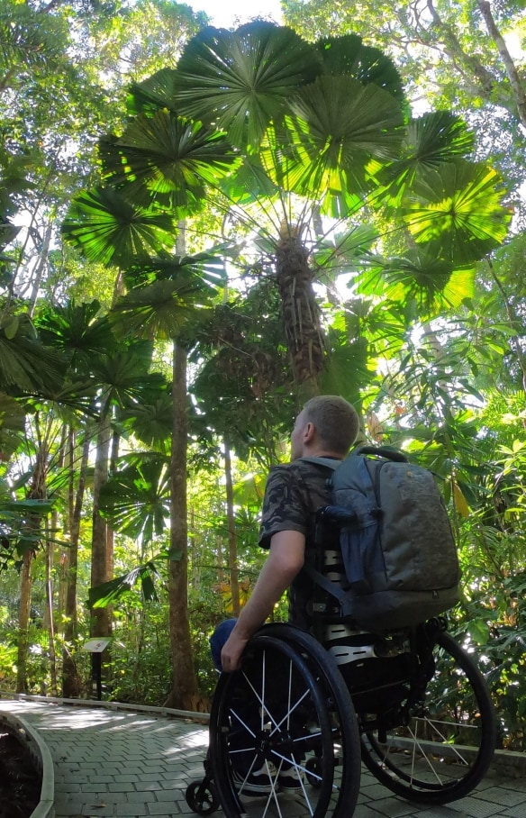 Man in a wheelchair looking up at the canopy of the Daintree Rainforest in Queensland © Tourism and Events Queensland