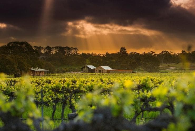 Rayons de soleil au travers de nuages sombres au-dessus du domaine viticole de St Hugo dans la Barossa Valley, Adélaïde, Australie du Sud © St Hugo