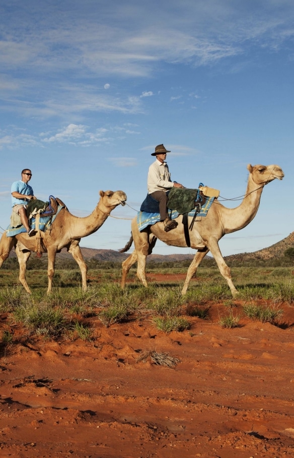 Excursion à dos de chameau, Centre Rouge, NT © Tourism NT