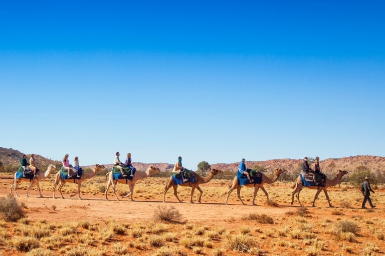 Pyndan Camel Tracks, Alice Springs, Territoire du Nord © Tourism NT