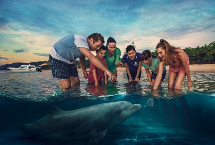 Famille nourrissant un dauphin sauvage, Tangalooma Island Resort, Moreton Island, QLD © Brisbane Marketing