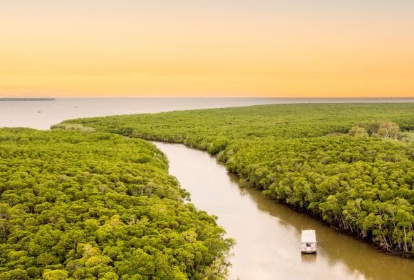 Promenade en bateau au coucher du soleil avec le Mandingalbay Ancient Indigenous Tours à Cairns © Mandingalbay Ancient Indigenous Tours, Cairns, Queensland © Tourism and Events Queensland