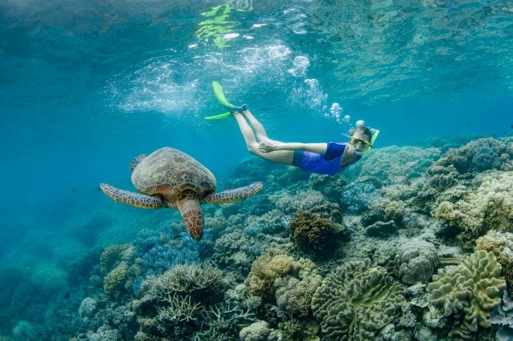 Fille faisant de la plongée avec masque et tuba à côté d'une tortue © Tourism and Events Queensland