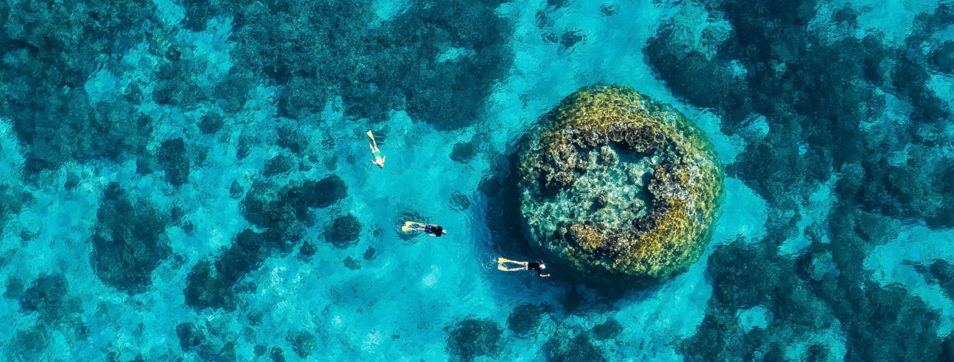 Plongée avec masque et tuba, Grande Barrière de Corail, Wilson Island, Queensland © Tourism and Events Queensland