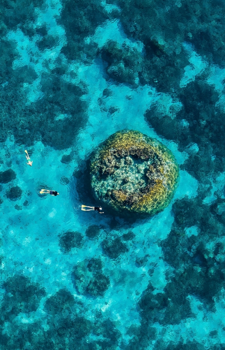 Plongée avec masque et tuba, Grande Barrière de Corail, Wilson Island, Queensland © Tourism and Events Queensland