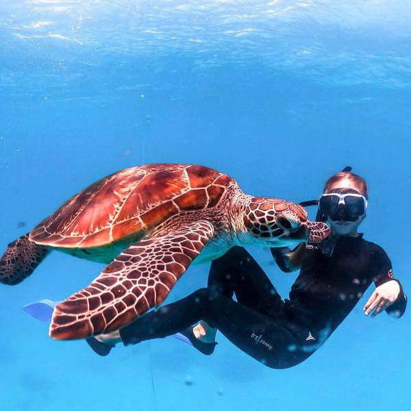 Lady Musgrave Island, Grande Barrière de Corail, QLD © Tourism and Events Queensland