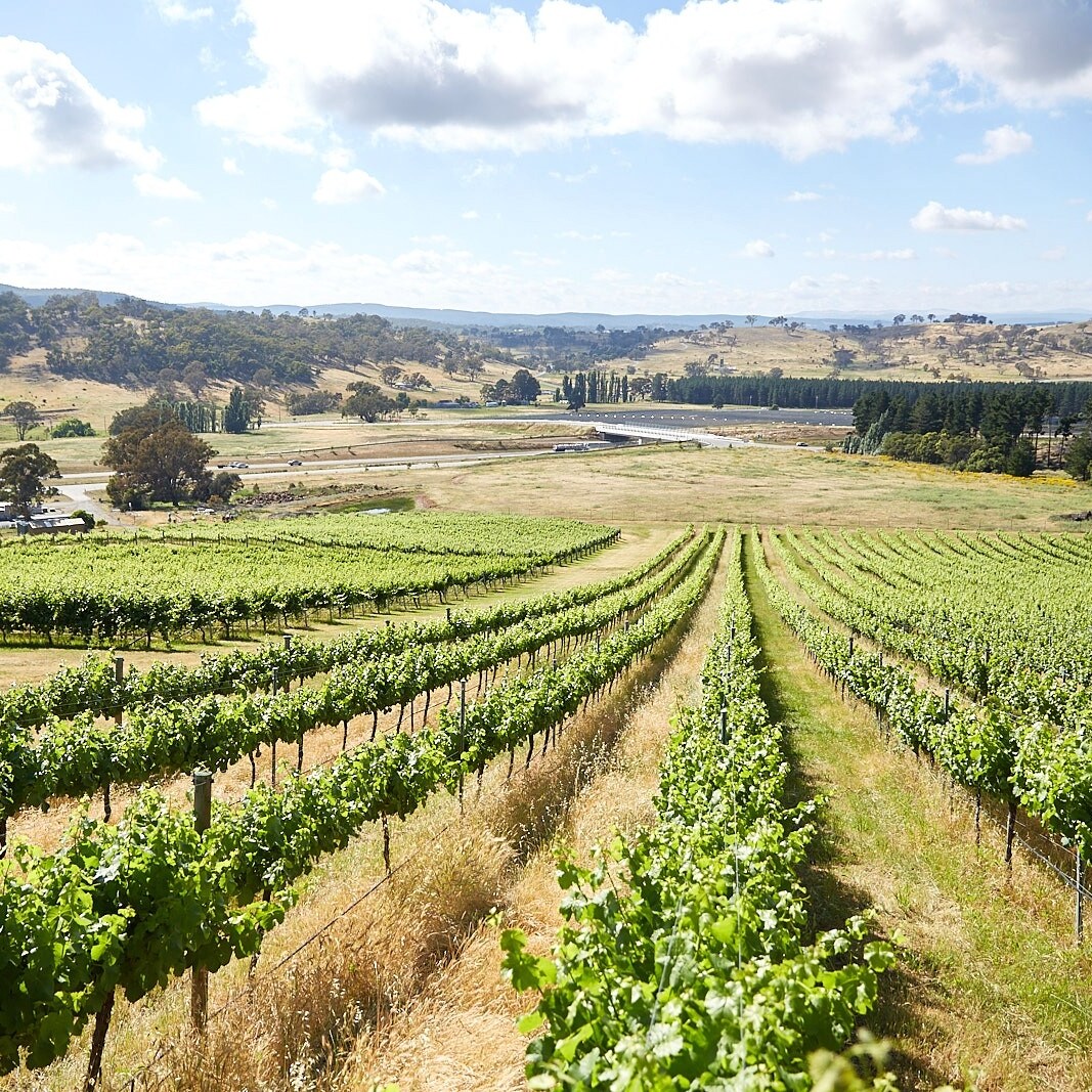Région vinicole de Canberra District, ACT © ACT Tourism