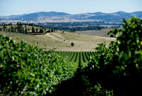 Eden Road Wines Murrumbateman, Nouvelle-Galles du Sud © Eden Road Wines