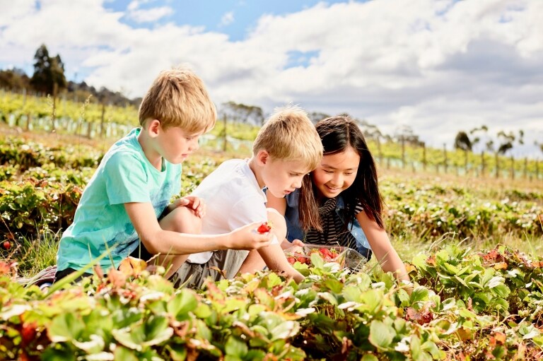 Coal River Farm, Cambridge, Tasmanie © Tourism Tasmania