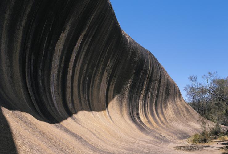 Wave Rock, Hyden Wildlife Park, WA © Tourism Australia