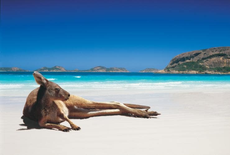 Lucky Bay, Cape Le Grand National Park, Esperance, South West Edge, WA © Tourism Australia