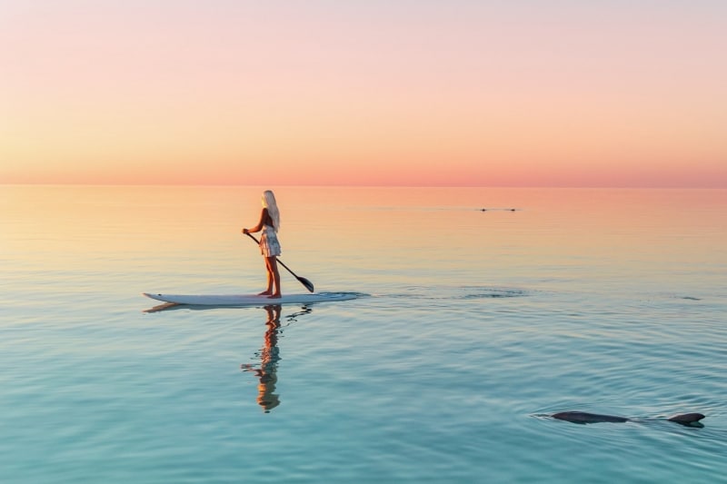 Monkey Mia, réserve de Shark Bay inscrite au patrimoine mondial, WA © Tourism Western Australia