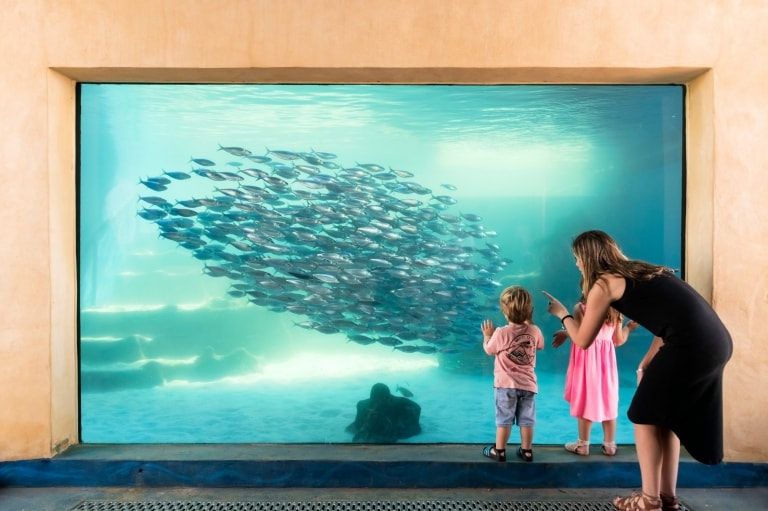 Aquarium d'Australie Occidentale, Perth, Australie Occidentale © AQWA