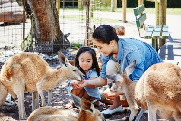 Caversham Wildlife Park, Swan Valley, WA © Tourism Western Australia