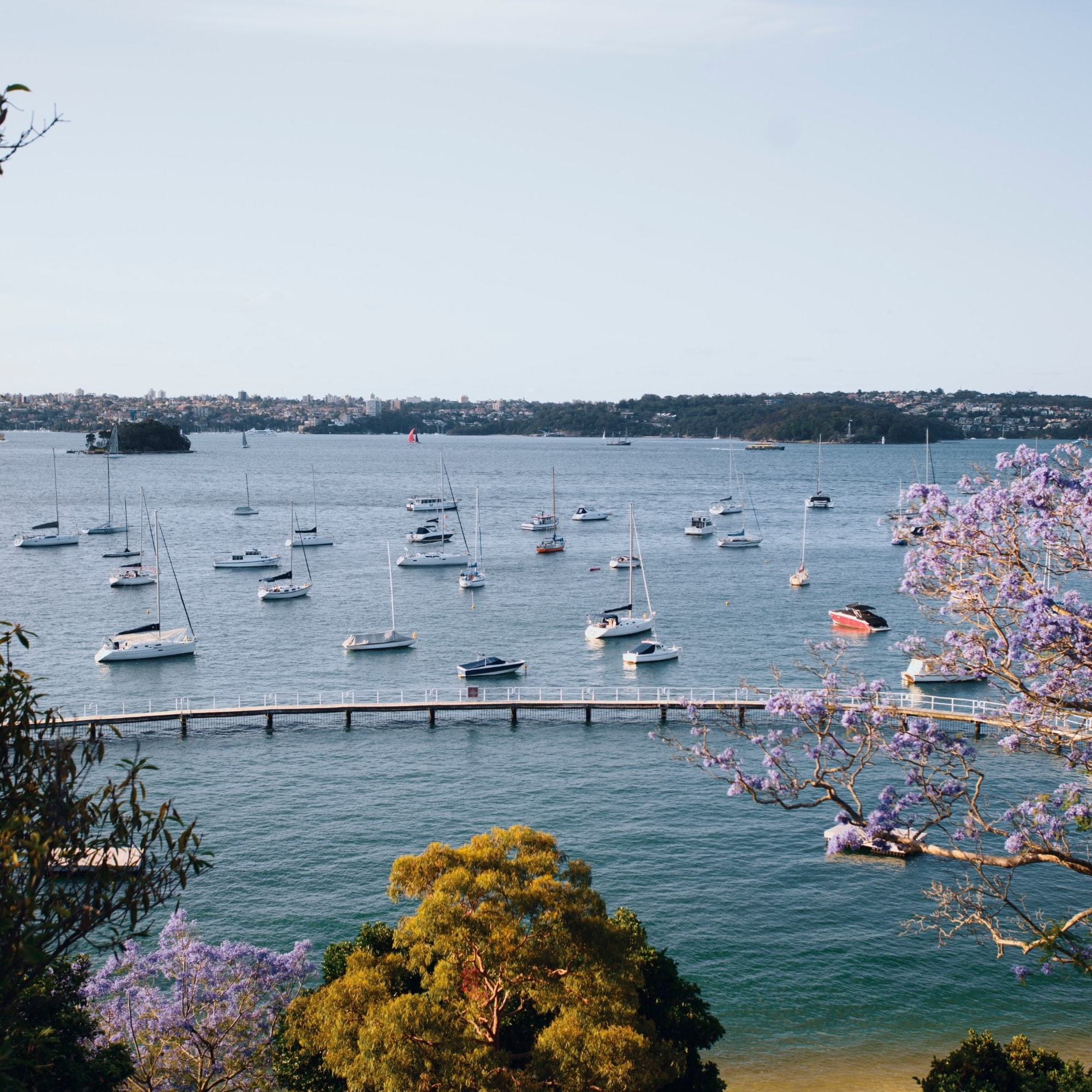 Vue sur le port depuis la piscine Murray Rose à Double Bay © Destination NSW