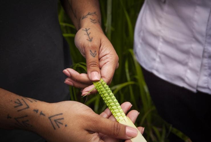 The Royal Botanic Garden Sydney Aboriginal Heritage Tour, Bush Food Experience & Art Classes, Nouvelle-Galles du Sud © Tourism Australia