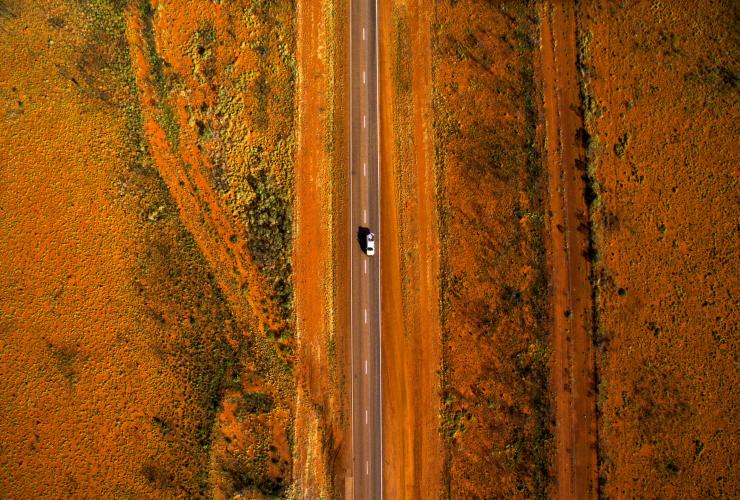 Stuart Highway, Région d’Alice Springs, NT © Sam Earp, Tourism NT 