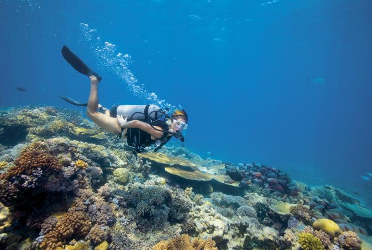 Lizard Island, Grande Barrière de Corail, QLD © Delaware North Companies