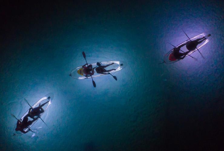 Excursion nocturne en kayak avec Sunset Safaris, Moreton Island, QLD © Sunset Safaris