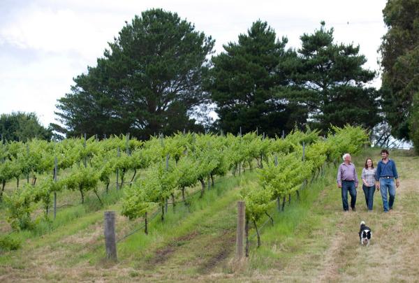 Vignobles de Helm Wines à Murrumbateman © Helm Wines/Id Photographics, Irene Dowdy