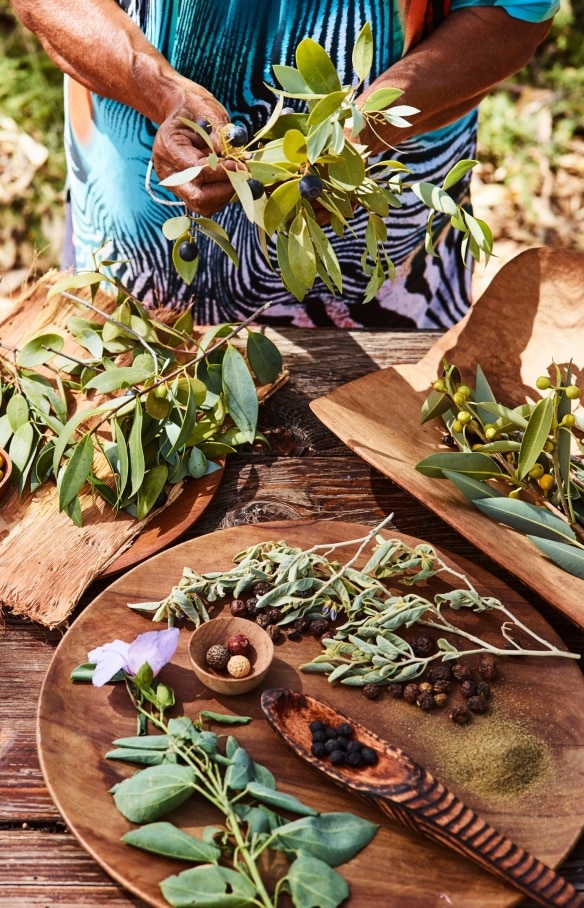 Ingrédients aborigènes sur une table à Ayers Rock Resort © Voyages