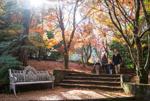  Arbres arborant des feuilles aux couleurs automnales © Destination NSW