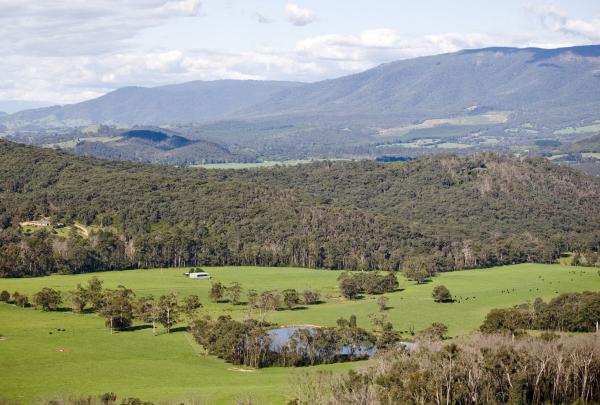 Vue des plaines herbeuses et de Cathedral Ranges © Visit Victoria