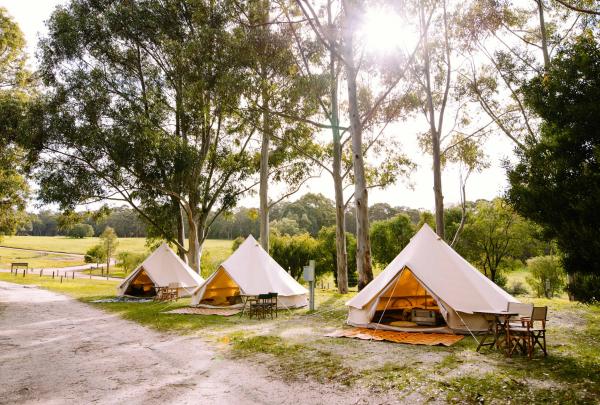 Trois tentes installées sur l'herbe dans la Margaret River © Wild Goose Camping