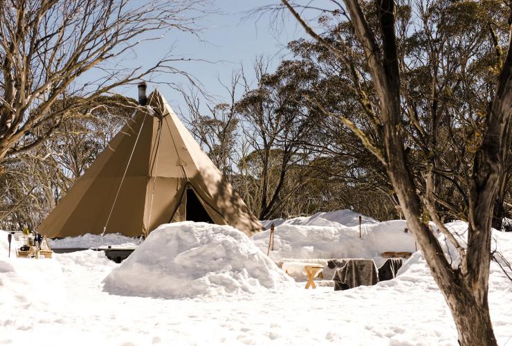 Alpine Nature Experience, Mount Hotham VIC © Georgie James 