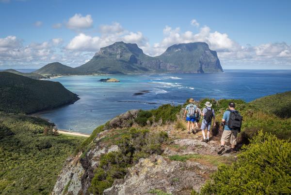 Seven Peaks Walk par Pinetrees, Lord Howe Island, NSW © Luke Hanson