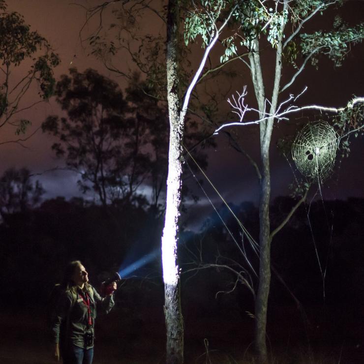 Garde-forestier guidant la visite nocturne au Mulligans Flat Woodlands Sanctuary près de Canberra © VisitCanberra
