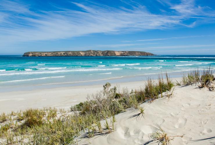 Ein menschenleerer Strand, ganz für dich allein am Almonta Beach, Südaustralien © Australian Coastal Safaris