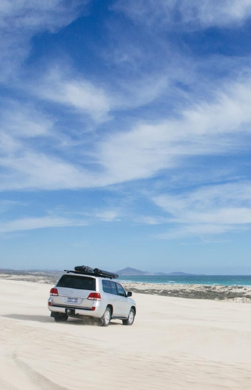 Un safari avec Austalian Coastal Safaris est toujours une superbe expérience © Australian Coastal Safaris / Robert Lang