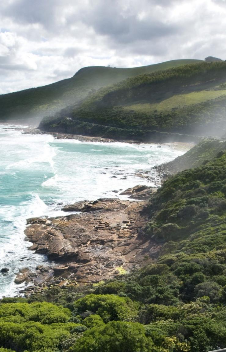 Le parc national des Great Otways est connu pour sa nature sauvage et sa faune rare © Great Ocean Road marketing